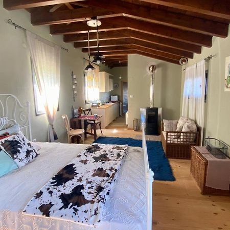 Little Garden Cabin Perivolaki Bagian luar foto